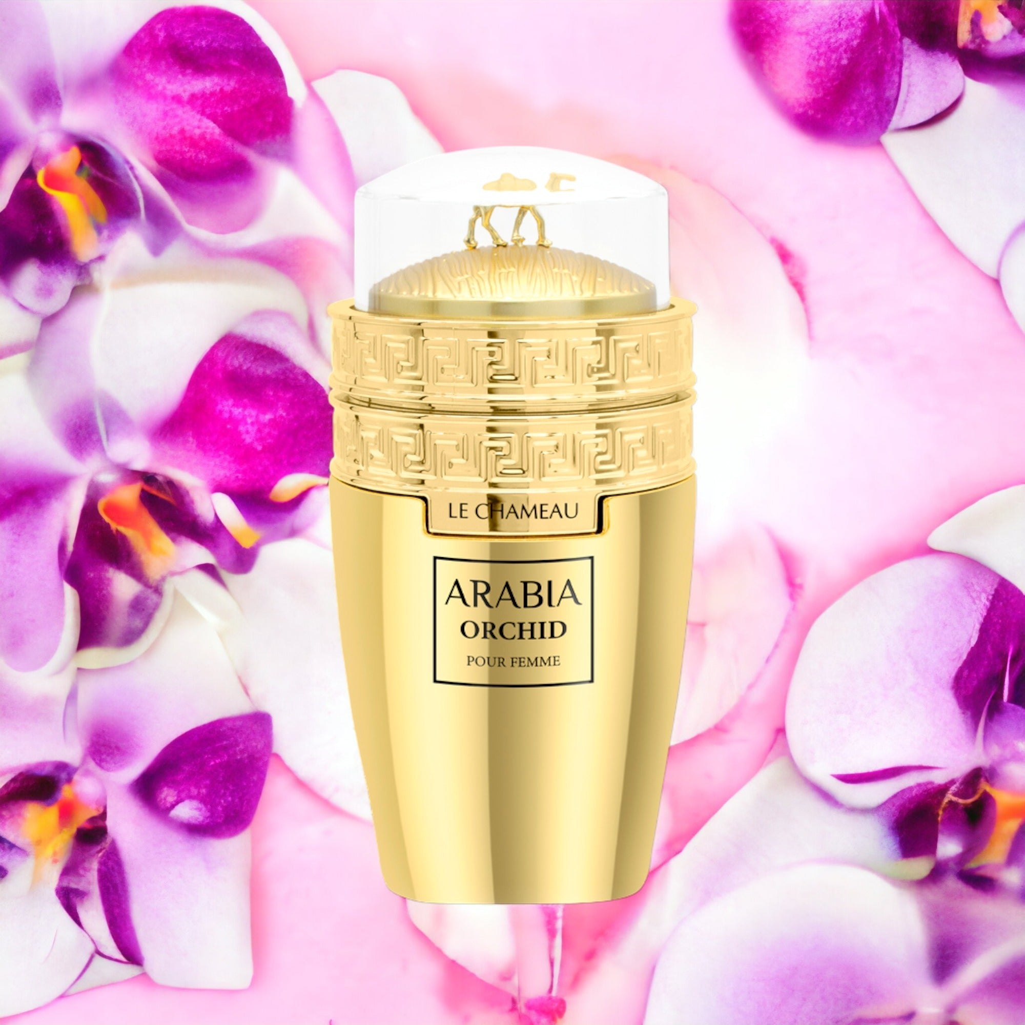 Arabia Orchid By Le Chameau EDP Perfume for Women 3.4 oz/100 ml - Imagen 4