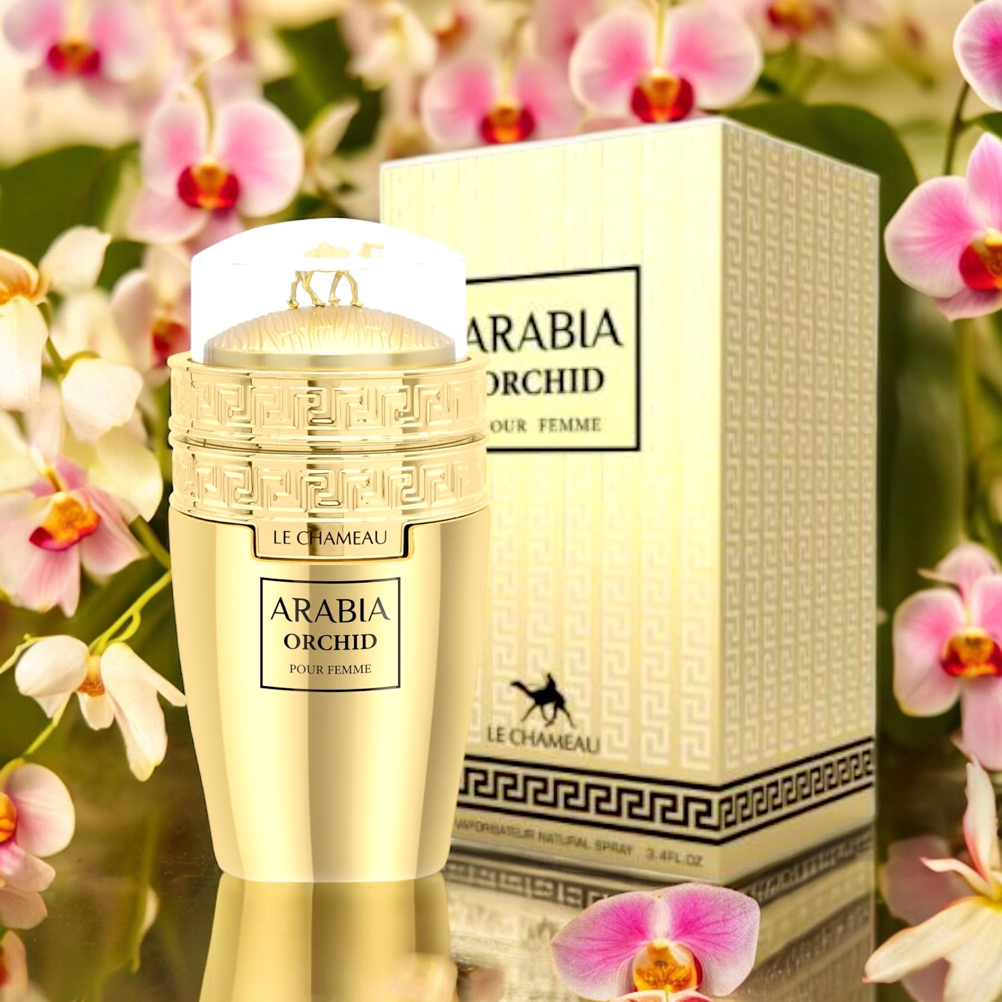 Arabia Orchid By Le Chameau EDP Perfume for Women 3.4 oz/100 ml - Imagen 3