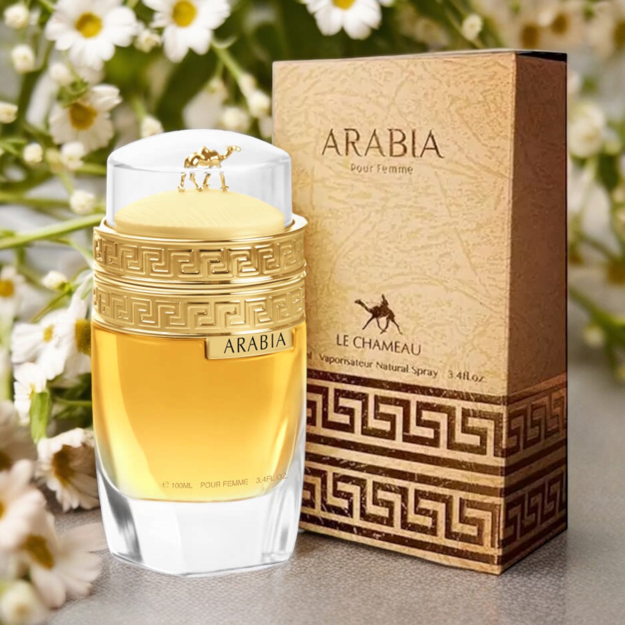 Arabia Pour Femme By Le Chameau EDP Perfume for Women 3.4 oz/100 ml - Imagen 2