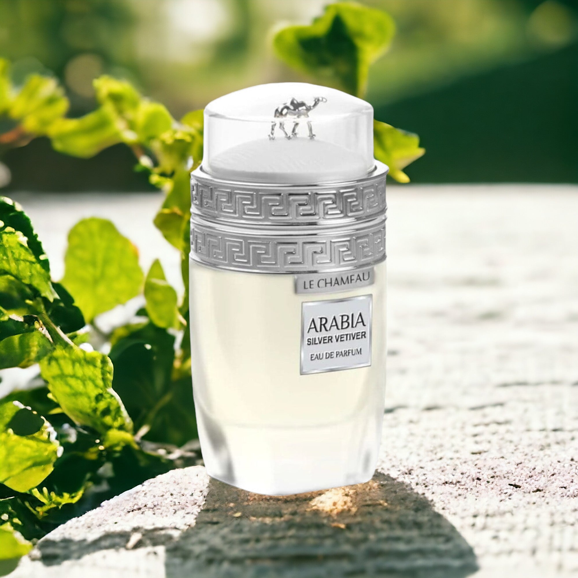 Arabia Silver Vetiver By Le Chameau EDP Perfume for Men 3.4 oz/100 ml - Imagen 3