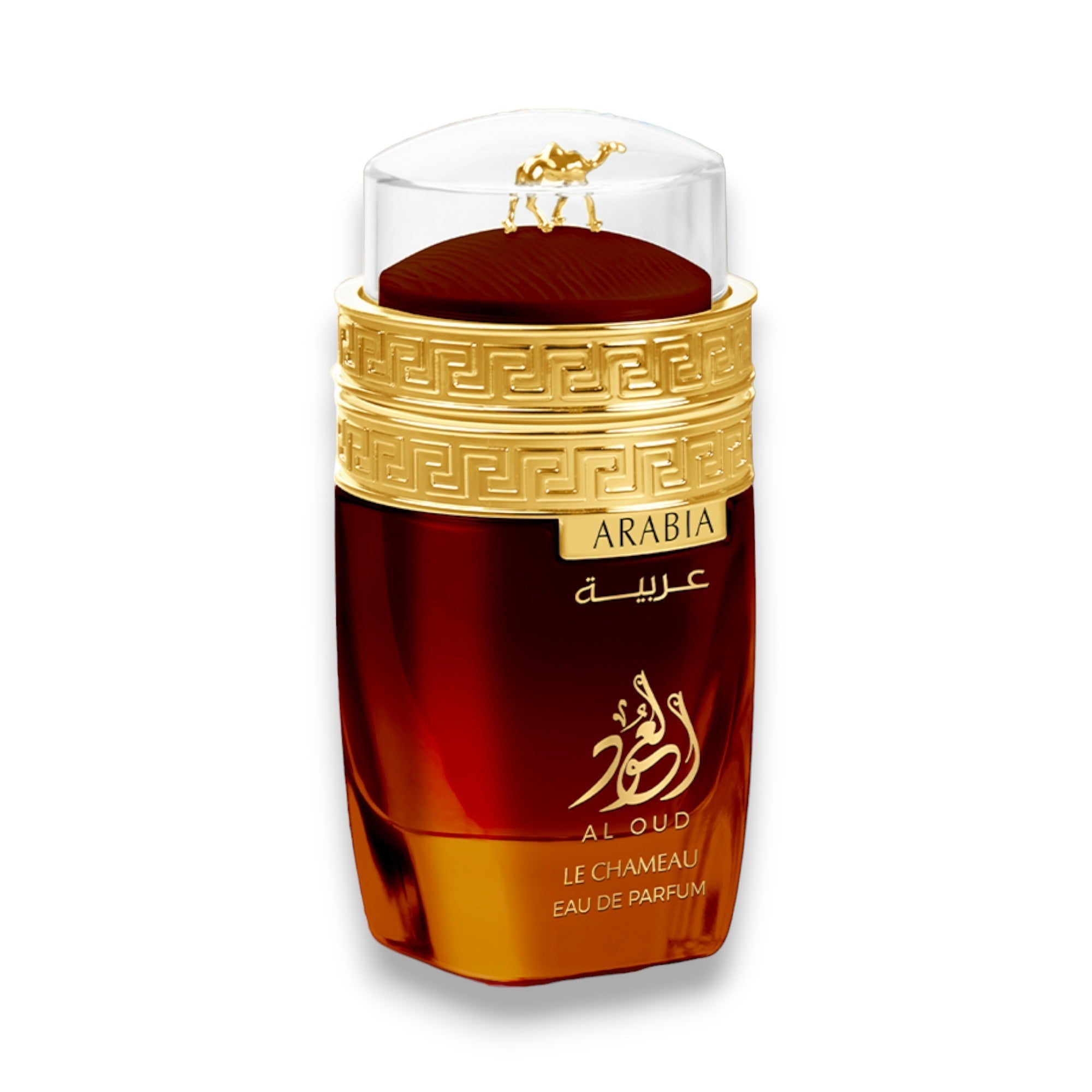 Arabia Al Oud By Le Chameau EDP Perfume 3.4 Oz/100 ml - Imagen 5