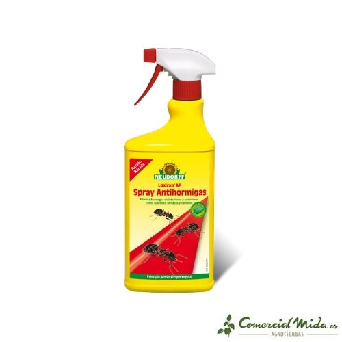 LOXIRAN Ant Neudorff Insetticida Domestico 750 ml